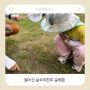 2020-746 | 진주 월아산숲속의진주 유아 숲체험 예약, 후기