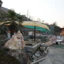 매화랜드 이미지