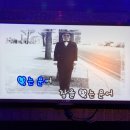 서초대로40길 48-12 | 감성적이거나 이상하거나