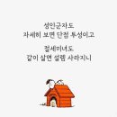 메멘토모리