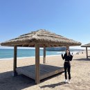 경북 캠핑장 추천 영덕 장사해수욕장 캠핑 차박 취사가능 야영장 개장 샤워