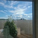 스타스케이프 이미지