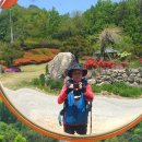 비슬산둘레길 4구간 이미지