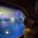 바다속으로 | 환상의 바다 속으로! 부산 해운대 아쿠아리움 완벽 가이드 (가족 &amp; 데이트)