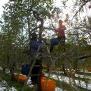 석산농장 이미지