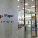 위즈펫 이미지