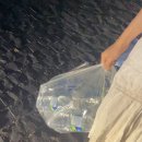 성진섬유 | 내 지난 날들은 눈 뜨면 잊는 꿈