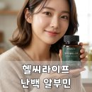 난백 알부민 제품 찾다가 챙겨본 헬씨라이프 후기