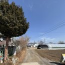 조곡수산 | [남양주/장어]조곡수산 (내돈내산,물의정원 장어맛집을 찾아서 2탄)