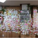 성산일출봉손칼국수 이미지