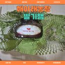 세희농장 이미지