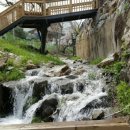 전원향기 이미지