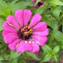 대청공원 공중화장실 이미지