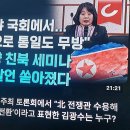 무소속(전민주당) 윤미향 의원 평화 위해서라면 北 전쟁관도 수용!! 이미지