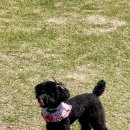 반자주 장산점 이미지