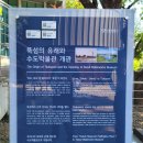 로얄게임방 이미지