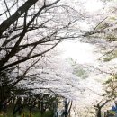 안민고개길 이미지