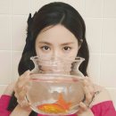 제이제이리조트 이미지
