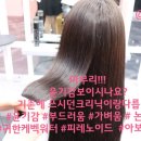 아산카클리닉