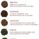 파운탱