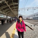 함구미민박 이미지