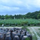 너른마당 이미지