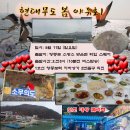 ♡♥현대무도 봄 야유회 5월 11일 (일요일) 무의도섬 인천 대왕콜라텍 초대합니다♥♡ 이미지