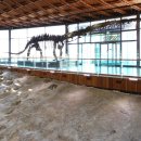 공룡박물관 이미지