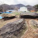 대곡동지석묘군 이미지