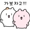돌개차기태권도 이미지