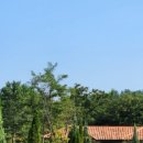 포포 스테이 이미지