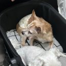 명품 더 노래연습장 이미지