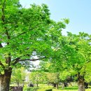 유당공원(주차장) 이미지