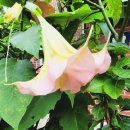 대한예수교장로회광주은진교회 이미지