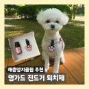 멍가드 강아지진드기퇴치제 해충방지클립 산책필수템 추천 후기
