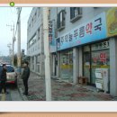 주덕늘푸름약국 Daum카페