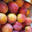 (주)참도담 이미지