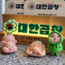 군자대한곱창 대전가오점 이미지