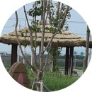 평택시 농업기술센터 친환경미생물관 | 평택농업기술센터(식물원,생태원) 둘러보기