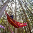 바다가 보이는 정원 이미지