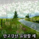 신 만고강산 - 김세레나 (MR-W) 이미지