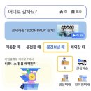 카카오 퀵 후기 (비용 기사 예약 + 4천원 할인 꿀팁)