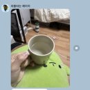 나경에너지 이미지