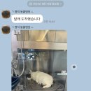 명덕동물병원 이미지