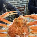 순양호영덕대게직판장 이미지