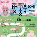 강서 낙동강30리 벚꽃축제(2025년) 이미지