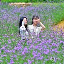 동화나라 이미지