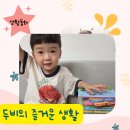 교원빨간펜포인트재청구 | 교원 빨간펜 4살 생활동화 전집 두비의 즐거운 생활