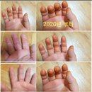 명품플러스
