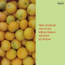 과일아삭